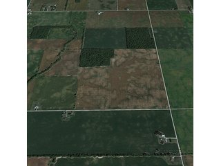 Property photo 2 - LAND AUCTION, 200+/- Acres offered in 4 Tracts
